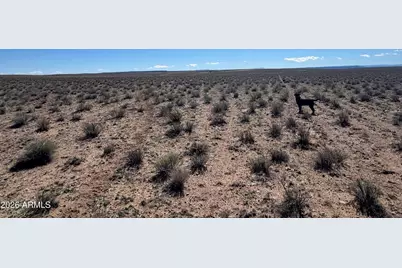Lot 352 Carrizo Ranch -- #352, Saint Johns, AZ 85936 - Photo 13
