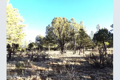 2570 Kettle Way #200, Happy Jack, AZ 86024 - Photo 5