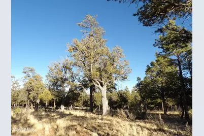 2570 Kettle Way #200, Happy Jack, AZ 86024 - Photo 7