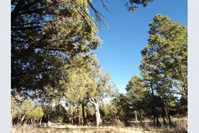 2570 Kettle Way #200, Happy Jack, AZ 86024 - Photo 3