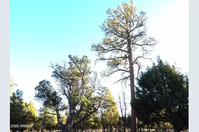 2570 Kettle Way #200, Happy Jack, AZ 86024 - Photo 9