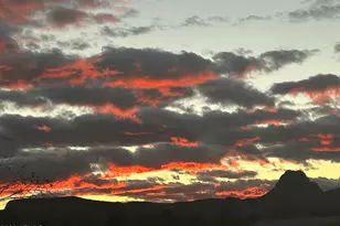 4755 W Morin Rd, McNeal, AZ 85617 - Photo 55