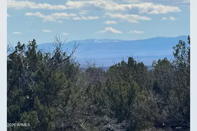 Lot 75 Red Sky Ranch -- #75, Saint Johns, AZ 85936 - Photo 11