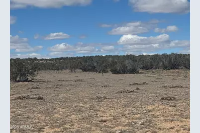 Lot 75 Red Sky Ranch -- #75, Saint Johns, AZ 85936 - Photo 9