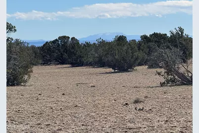 Lot 75 Red Sky Ranch -- #75, Saint Johns, AZ 85936 - Photo 7