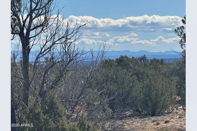 Lot 75 Red Sky Ranch -- #75, Saint Johns, AZ 85936 - Photo 19