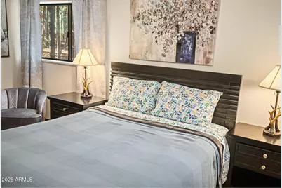 628 Trout Springs Road, Forest Lakes, AZ 85931 - Photo 19