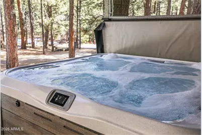 628 Trout Springs Road, Forest Lakes, AZ 85931 - Photo 31