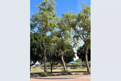 7837 W Palm Lane, Phoenix, AZ 85035 - Photo 39