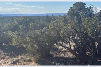 Lot 93 Red Sky Ranch -- #93, Saint Johns, AZ 85936 - Photo 5
