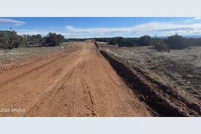 Lot 93 Red Sky Ranch -- #93, Saint Johns, AZ 85936 - Photo 13