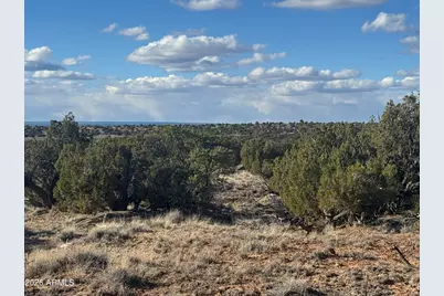 Lot 93 Red Sky Ranch -- #93, Saint Johns, AZ 85936 - Photo 7