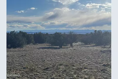 Lot 93 Red Sky Ranch -- #93, Saint Johns, AZ 85936 - Photo 3