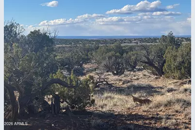 Lot 93 Red Sky Ranch -- #93, Saint Johns, AZ 85936 - Photo 7