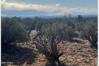 Lot 93 Red Sky Ranch -- #93, Saint Johns, AZ 85936 - Photo 5
