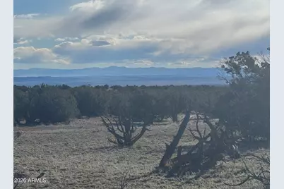 Lot 93 Red Sky Ranch -- #93, Saint Johns, AZ 85936 - Photo 3