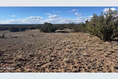 Lot 93 Red Sky Ranch -- #93, Saint Johns, AZ 85936 - Photo 11