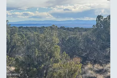 Lot 93 Red Sky Ranch -- #93, Saint Johns, AZ 85936 - Photo 11