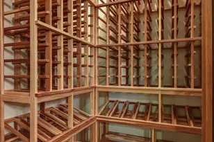 3504 S 1st Water Trail, Gold Canyon, AZ 85118 - Photo 21