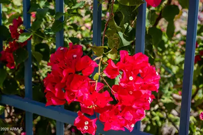 2131 E Bethany Home Road, Phoenix, AZ 85016 - Photo 155