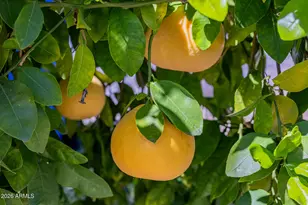 2131 E Bethany Home Rd, Phoenix, AZ 85016 - Photo 159