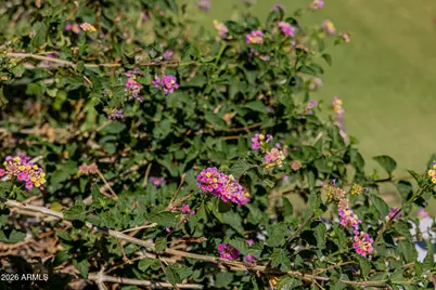 2131 E Bethany Home Road, Phoenix, AZ 85016 - Photo 153