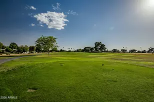 18414 N 104th Ave, Sun City, AZ 85373 - Photo 19