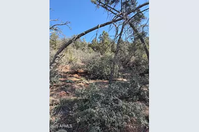 813 N Blue Spruce Circle #282, Payson, AZ 85541 - Photo 9