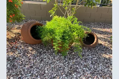 22407 W Morning Glory Street, Buckeye, AZ 85326 - Photo 27