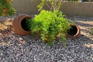 22407 W Morning Glory St, Buckeye, AZ 85326 - Photo 27