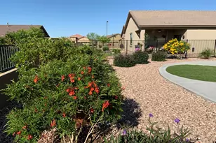 22407 W Morning Glory St, Buckeye, AZ 85326 - Photo 25