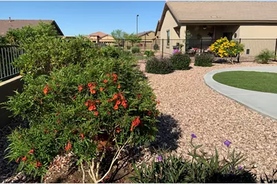 22407 W Morning Glory Street, Buckeye, AZ 85326 - Photo 25