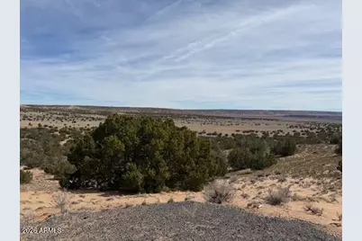 191 N 191 Alley #20434058, Saint Johns, AZ 85936 - Photo 3