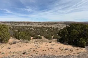 191 N 191 Alley, Saint Johns, AZ 85936 - Photo 1