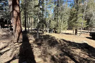 8170 Poachers Row, Prescott, AZ 86303 - Photo 39