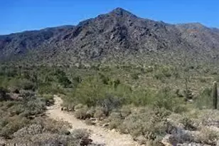 20194 W Luke Ave, Litchfield Park, AZ 85340 - Photo 11