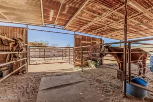 35412 N 51st St, Cave Creek, AZ 85331 - Photo 61