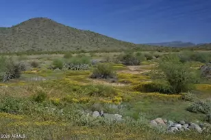 511 E Pasaro Dr, Phoenix, AZ 85085 - Photo 75