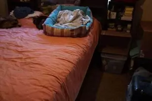 5803 Dark Canyon Dr, Winslow, AZ 86047 - Photo 7