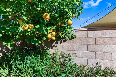 4014 W Fallen Leaf Lane, Glendale, AZ 85310 - Photo 31