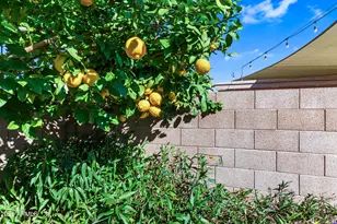 4014 W Fallen Leaf Ln, Glendale, AZ 85310 - Photo 31