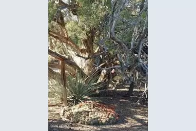 Xxxxx S Knight Creek Road #3, Kingman, AZ 86401 - Photo 19