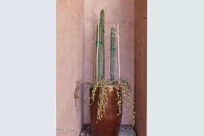 4364 N 156th Lane, Goodyear, AZ 85395 - Photo 55