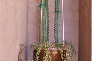 4364 N 156th Ln, Goodyear, AZ 85395 - Photo 55