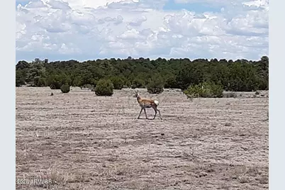 26 N Cr 2009 -- #E, Nutrioso, AZ 85932 - Photo 13