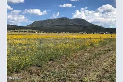 26 N Cr 2009 -- #E, Nutrioso, AZ 85932 - Photo 1