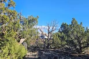 1856 Rainbow Cir, Show Low, AZ 85901 - Photo 1