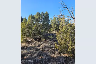 1856 Rainbow Circle #-, Show Low, AZ 85901 - Photo 11