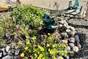 369 S Taylors Trail, Sierra Vista, AZ 85635 - Photo 5