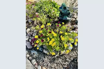 369 S Taylors Trail --, Sierra Vista, AZ 85635 - Photo 29